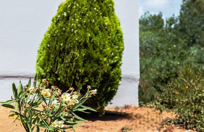 Romanos Beach Villas - Photo 61