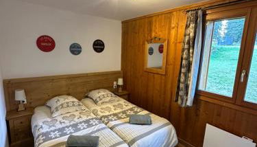 Les Saisies - Appartement haut de gamme 3 pièces 6 personnes - Foto 5