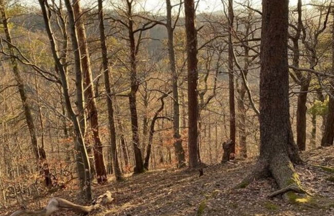 Holiday Apartment on the Anger - Foto 24