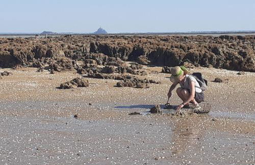 Gîte/Guest House close to the Mont Saint Michel - Foto 25