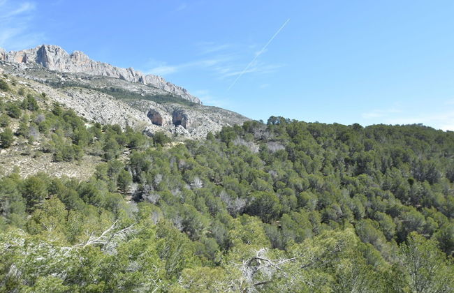 Modern Villa in Altea With Private Swimming Pool - Foto 18