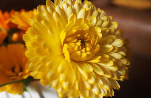 Maison Tombelaine - Foto 31