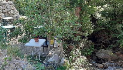 Casa Rural La Torre de Espinama - Foto 3