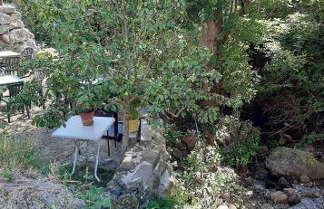 Casa Rural La Torre de Espinama - Foto 3