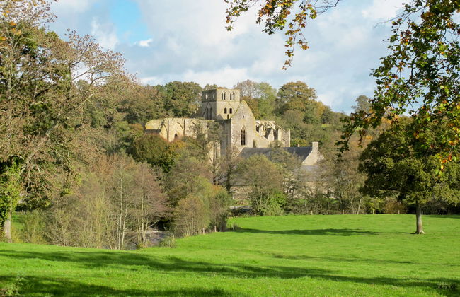 La Chevalerie - Foto 20