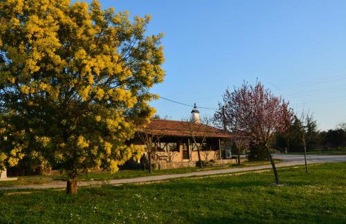 Turismo rural 4QUINTAS - Foto 8