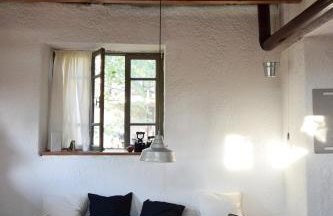 Dendrocopos Medius - Photo 4