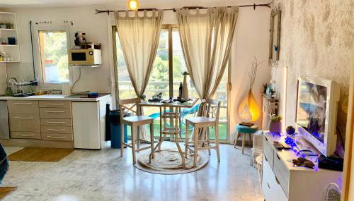 Luxurious Studio in Cannes 450m from sea with Terrace and Air Conditioning and private Parking - Foto 3