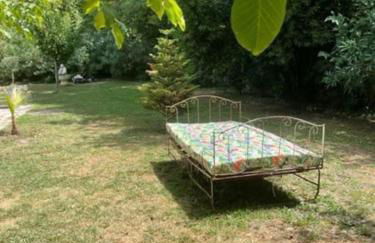 Mas de Barthe Avignon, Ile de la Barthelasse - Foto 10