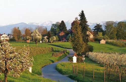 Baumanns Ferienhof Am See - Foto 26