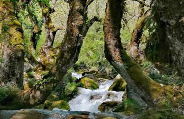 Alex House - Foto 30