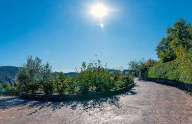 Alpujarra Sulayr - Foto 46