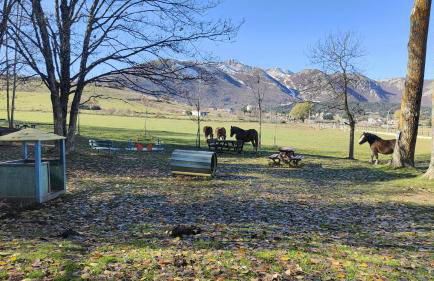 Casa del cuore - Foto 27