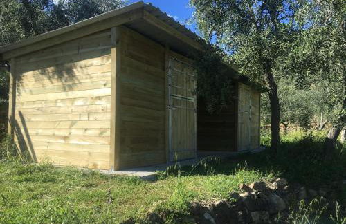 Agriturismo Oltrealmare - Foto 42