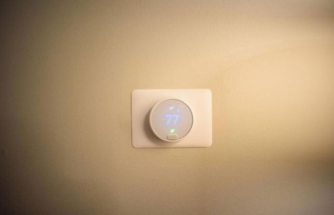 Cozy Family Home - Walk to MO Botanical Gardens - Photo 48