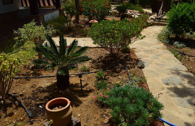 Cortijo Veracruz - Photo 68