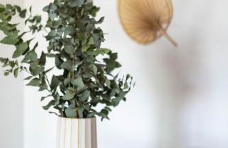 Apartamento segunda línea piscina frente al mar - Foto 11