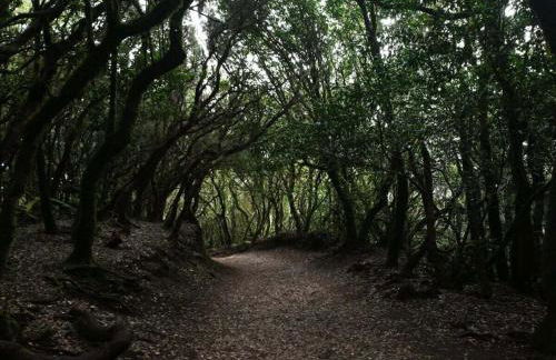 Comfort with a view of the Schaumberg mountain - Foto 18