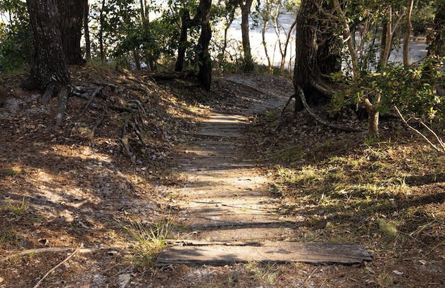 Reflections Brunswick Head - Holiday Park - Photo 47