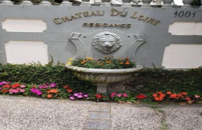 Apartamento Chateau du Loire - Foto 29