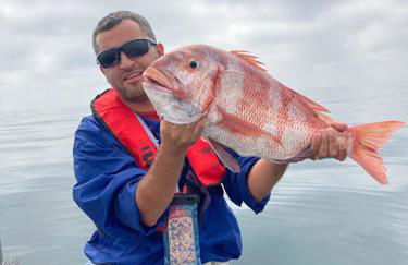 Casa Afonso Henriques - Foto 70