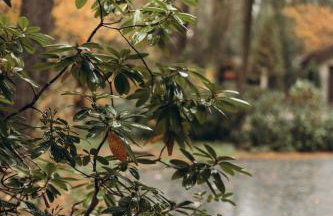 Jutowa Chata - nocleg bliżej natury - Foto 34
