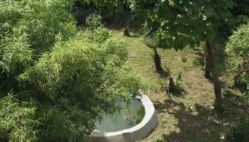 Casa Vacanze L'Agrifoglio - Photo 2, Garden