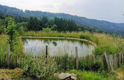 Berghütte am Grandsberg - Foto 21