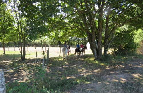 Gîtes Les P'tites Maisons dans la Prairie - Foto 43