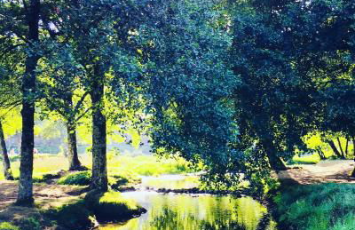 casadaeiradeangeja - Foto 19