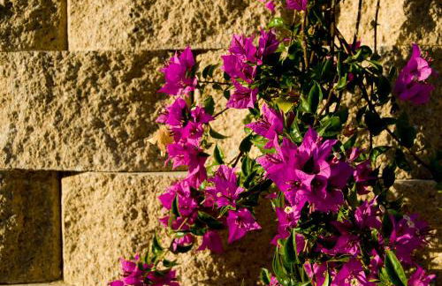 Agriturismo Il Falco - Foto 25