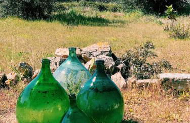 Trullo Contrada Specchi - Foto 16