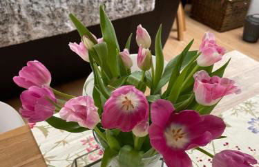 Loughview Lodge - Foto 12