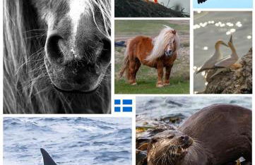 Central Location and Stunning Views - Foto 30