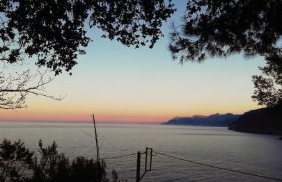 Dialiskari #2 - Foto 20