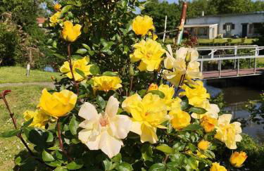 Le Cottage des Hortillonnages - Foto 14