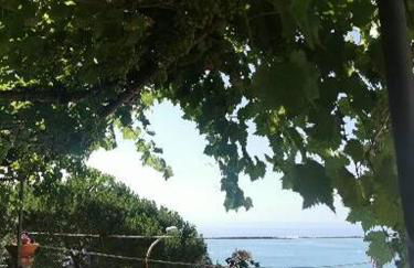 Le Mimose - Photo 44