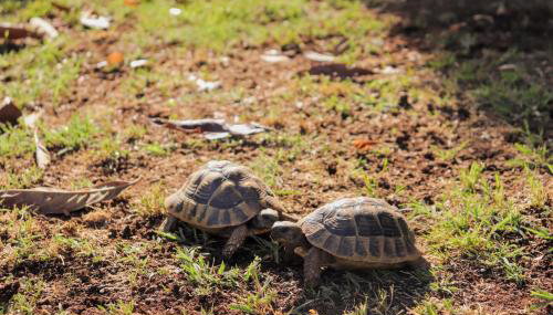 Apartment Happy - Foto 4