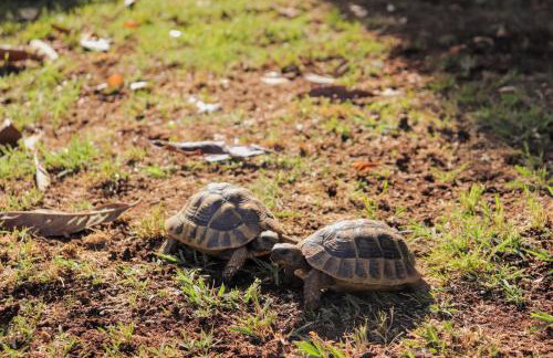 Apartment Happy - Foto 4