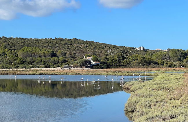 Le Saline amazing apartment with seaview - Foto 10