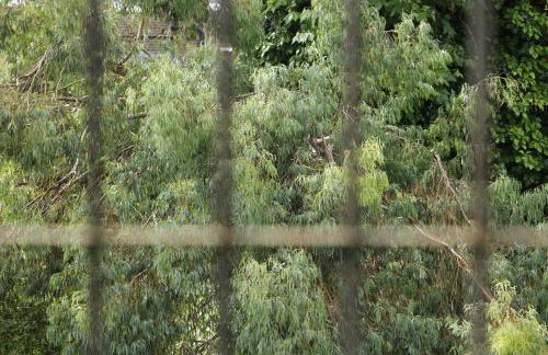 COSY CAMDEN 2 BEDROOM APARTMENT WITH TERRACE - Foto 40