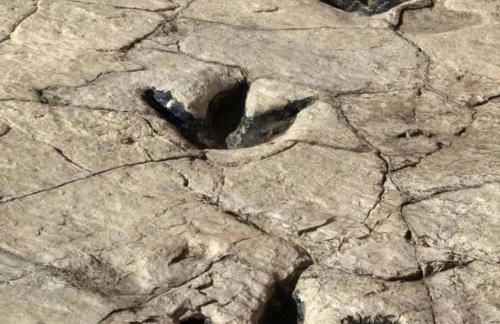 Ático Entero con Habitación en Corella - Foto 43