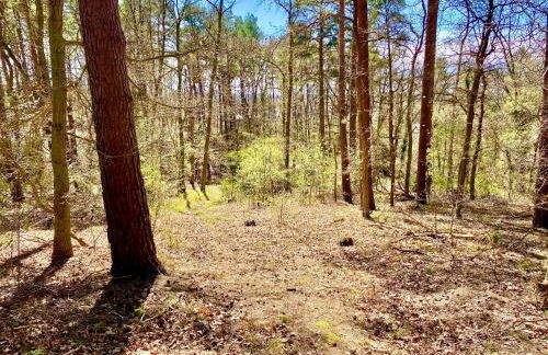 Ferienwohnung Peters - Foto 11