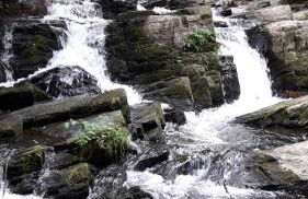 Ferienhaus Greiling - Foto 14