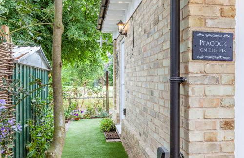 Peacock On The Pin - Foto 17