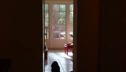 Albertine appt 112 - Foto 4