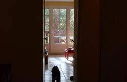 Albertine appt 112 - Foto 4