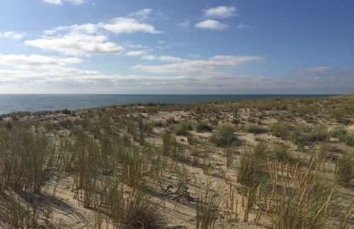 Villa familiale piscine-Océan & Bassin d'Arcachon - Foto 5