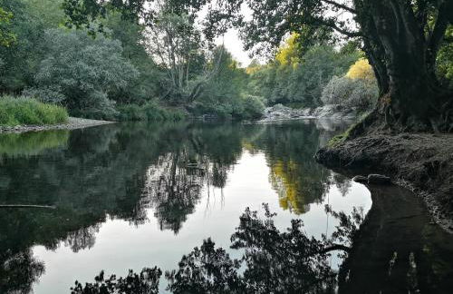 La nueva Escuela - Foto 20