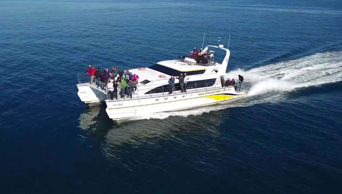 The boat used on the trip